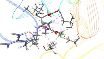 Appraisals of the Bangladeshi Medicinal Plant Calotropis gigantea Used by Folk Medicine Practitioners in the Management of COVID-19: A Biochemical and Computational Approach